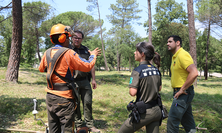 Catalunya s'uneix a Itàlia i Grècia per estudiar la vulnerabilitat d'urbanitzacions davant els incendis forestals
