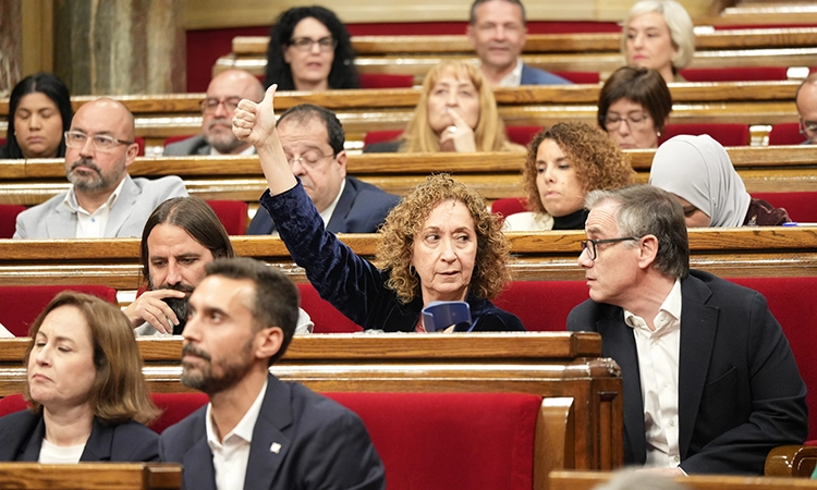Llum verda a la llei del cos d'acció exterior impulsada per l'exconsellera Serret
