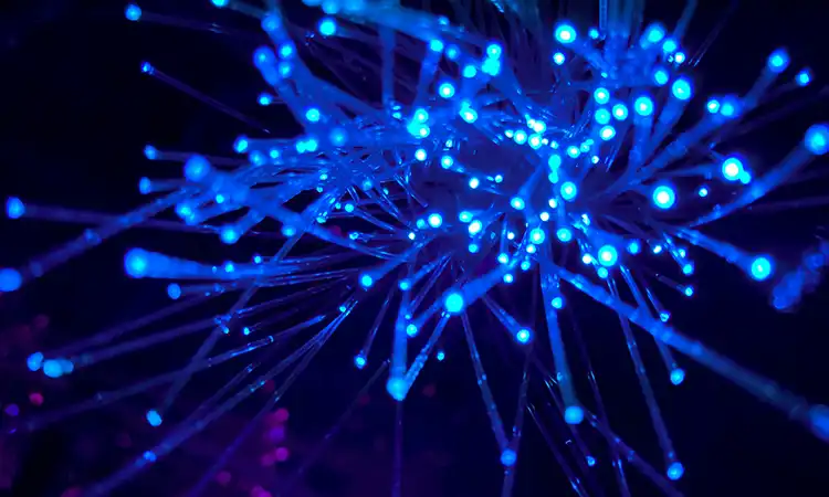 Catalunya registra el millor dèficit comercial exterior de la història en productes d’alta tecnologia 