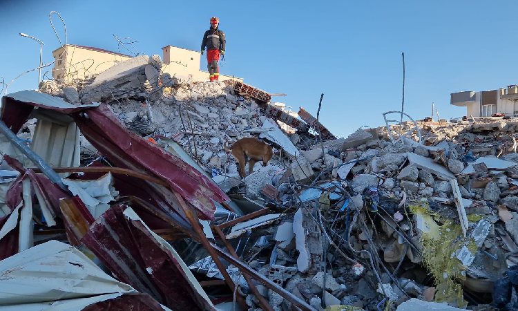 El consolat turc fa una crida desesperada per ajudar les víctimes del terratrèmol
