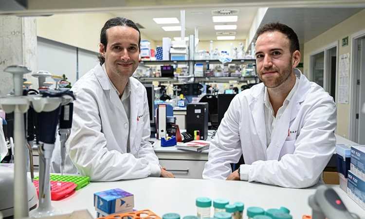 La Universitat de Barcelona dobla l'arribada d'investigadors procedents dels Estats Units