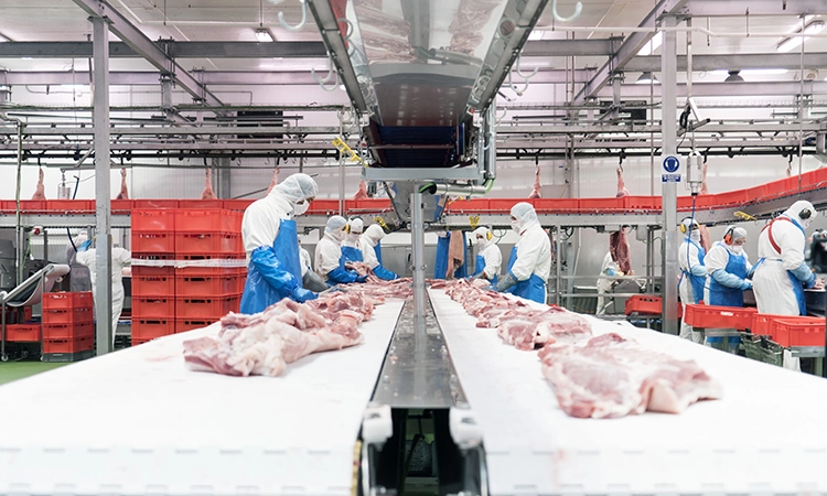 La lleidatana Vall Companys reforça la seva presència a l'Amèrica Llatina